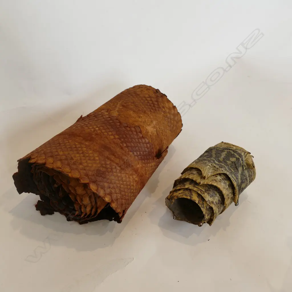 2 SNAKESKINS; 3M LONG OTHER 1.2M Image 1++