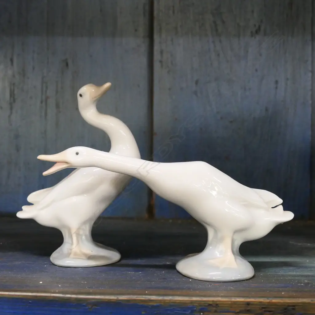 PR LLADRO DUCKS Image 1++