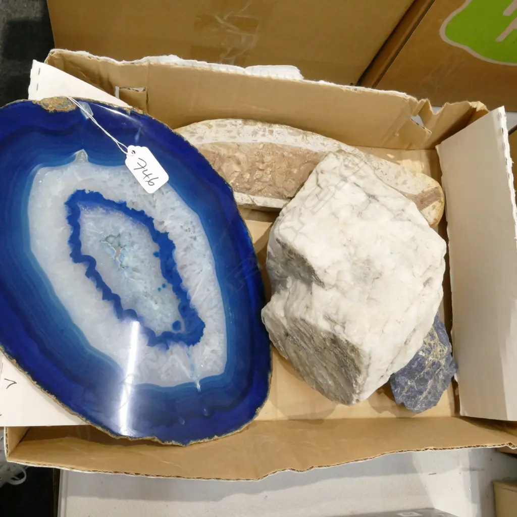ASST ROCK SPECIMENS + FOSSIL Image 1++