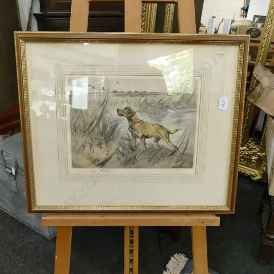 HENRY WILKINSON ENGRAVING - DOG