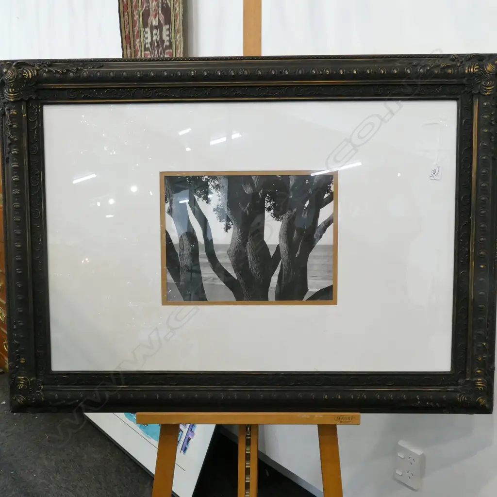 FRAMED PHOTOGRAPH OF TREES 800 X 1120 MM Image 1++