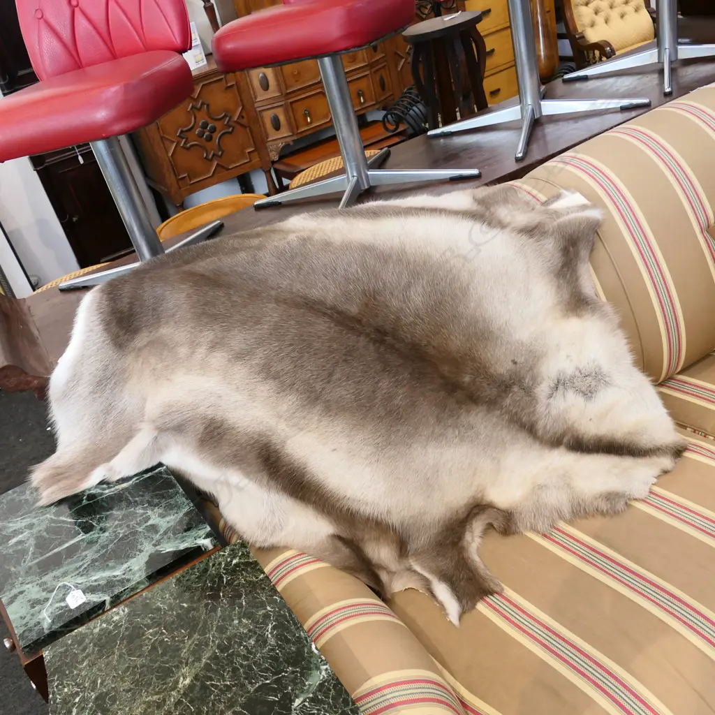 REINDEER HIDE - BROWN Image 1++