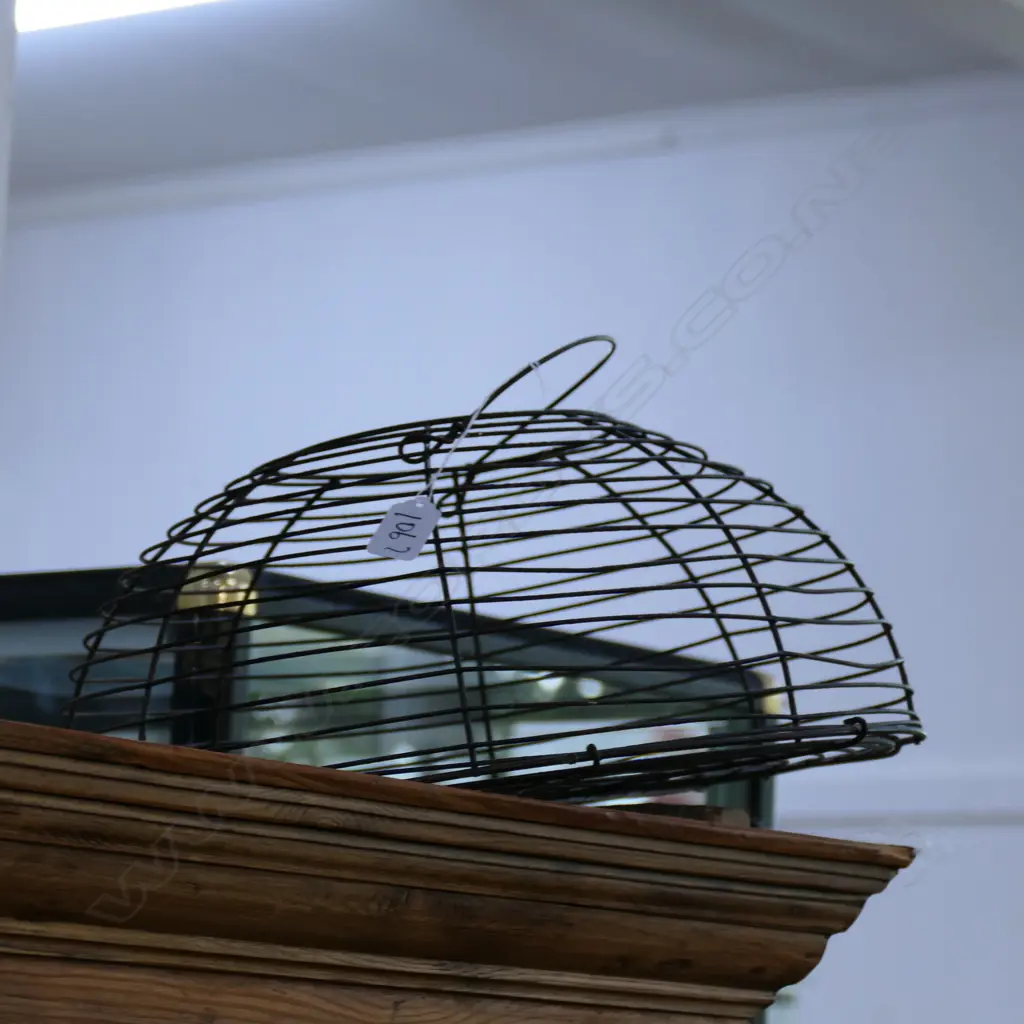 FRENCH WIRE BASKET Image 1++