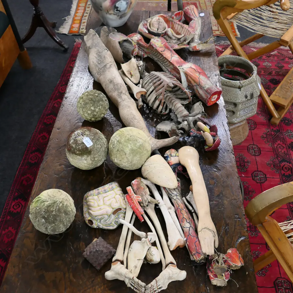 OLD JAPANESE PAINTED ANATOMICAL FIGURE Image 1++