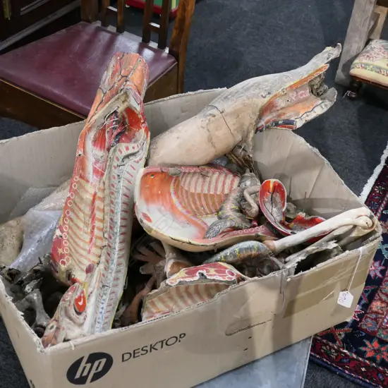 OLD JAPANESE PAINTED ANATOMICAL FIGURE