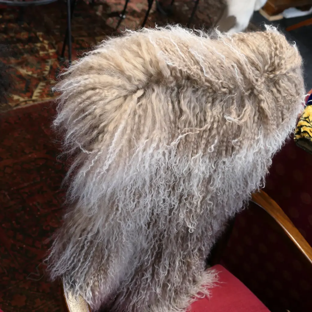 TIBERTON LAMB HIDE - BEIGE W WHITE TIPS Image 1++