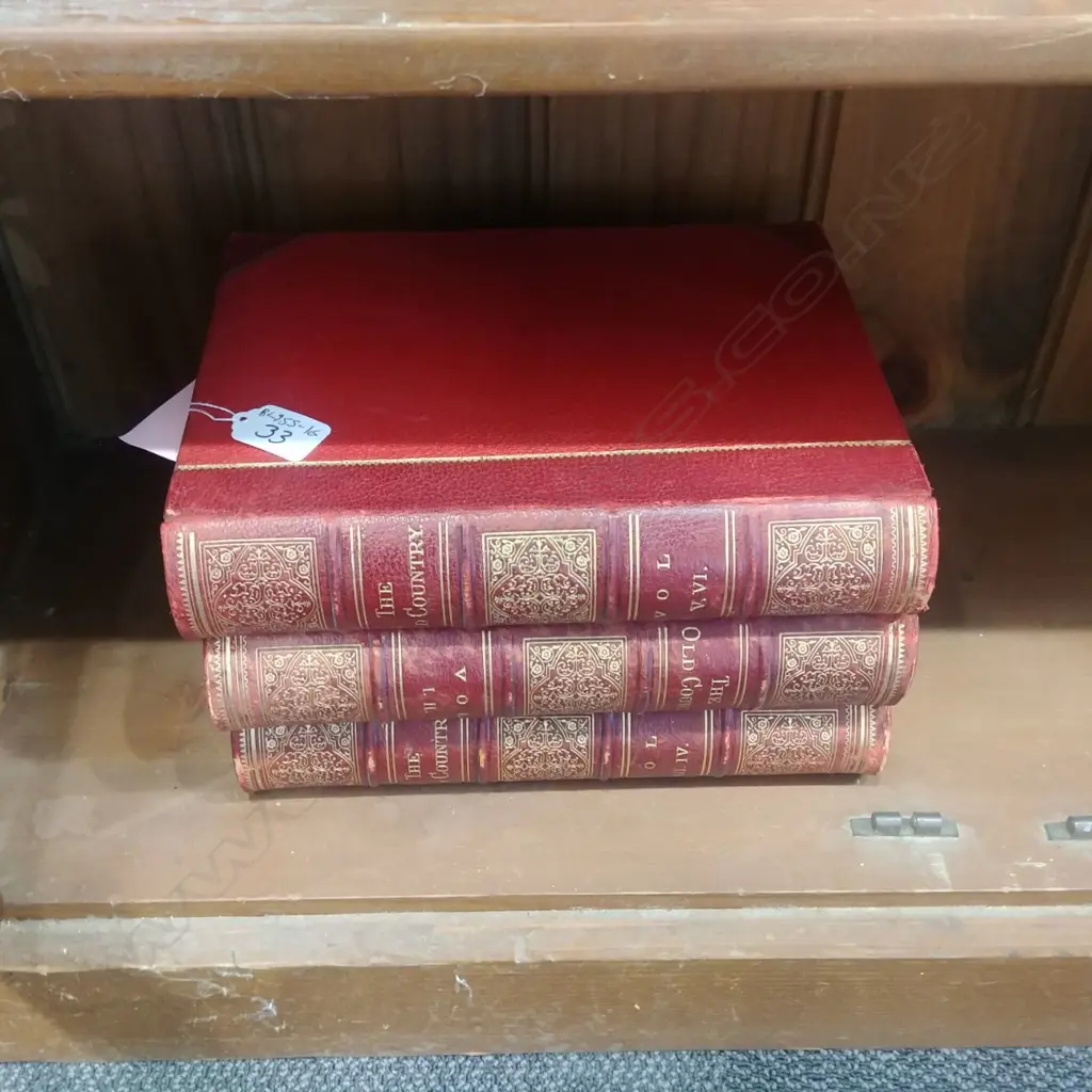 3 VOLUMES 'THE OLD COUNTRY'  19THC Image 1++