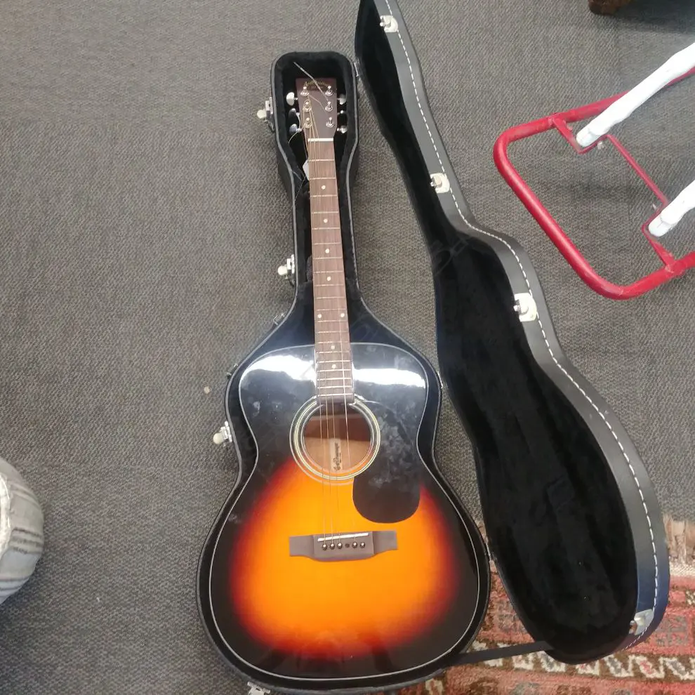 ARIA DREADNOUGHT ACOUSTIC GUITAR IN HARD CASE Image 1++