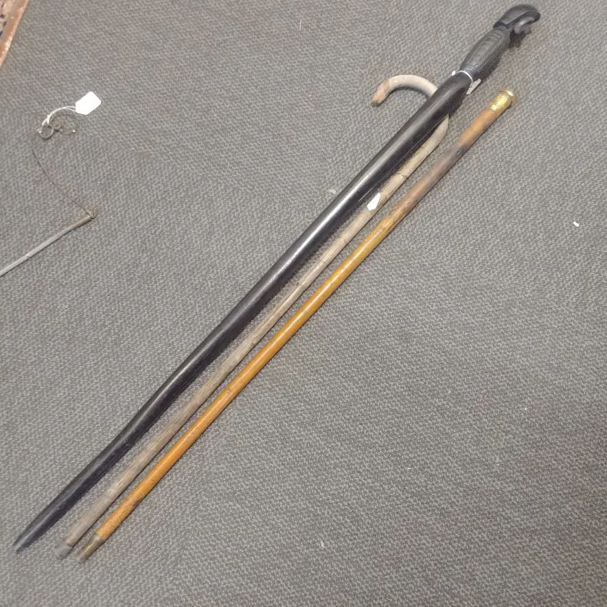 3 WALKING STICKS Image 1++