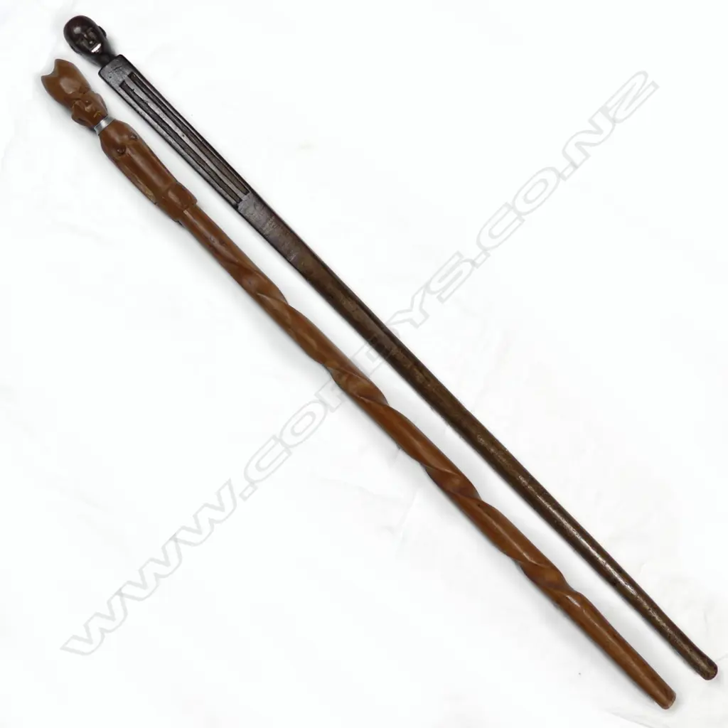 Two walking sticks Image 1++