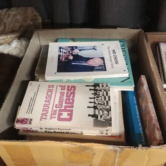 LOT ASST CHESS BOOKS AND CHESSMAN