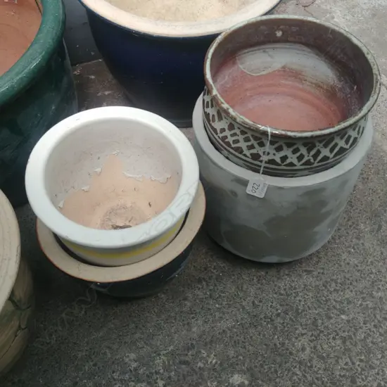 COL. 6 ASSRT. SMALL PLANT POTS 