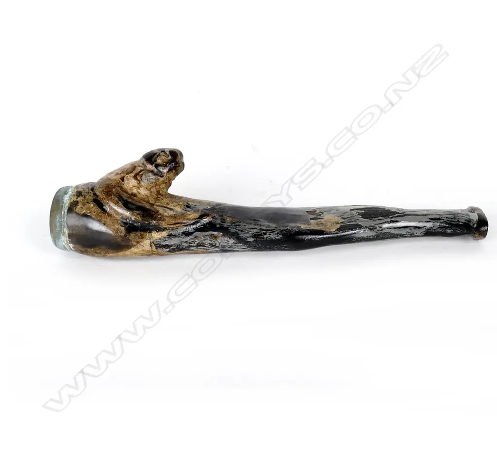 CORAL PIPE Image 1++