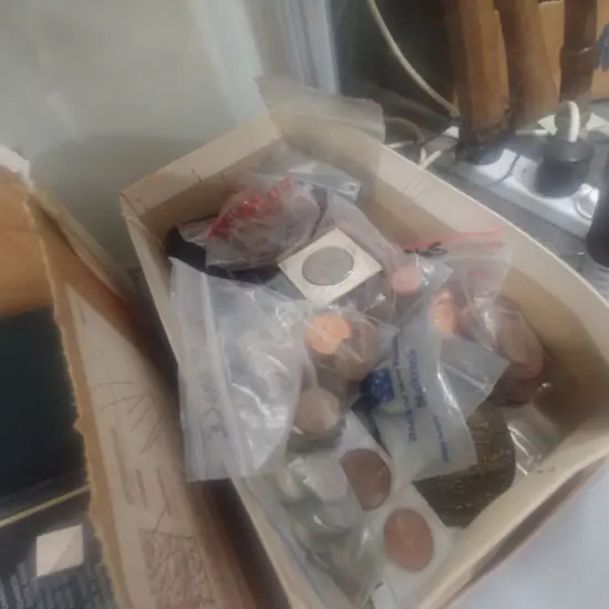 BOX OF WORLD COINS ETC