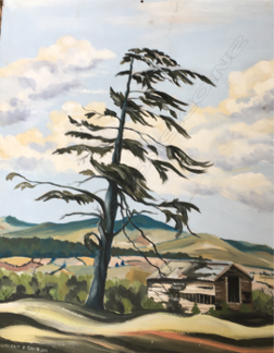 ROBERT F. SANSOM, LONE TREE, OIL ON BOARD, SIGNED, 579 X 465mm (UNFRAMED) Image 1++