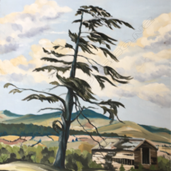 ROBERT F. SANSOM, LONE TREE, OIL ON BOARD, SIGNED, 579 X 465mm (UNFRAMED)