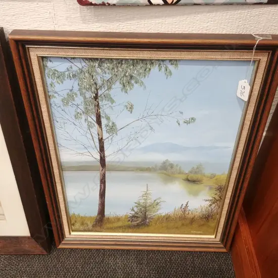 OIL LAKE TE ANAU BY D NEWMAN