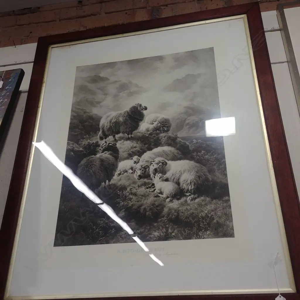 VIC. PICTURE OF STEEL ENGRAVING OF SHEEP ON A FARM Image 1++