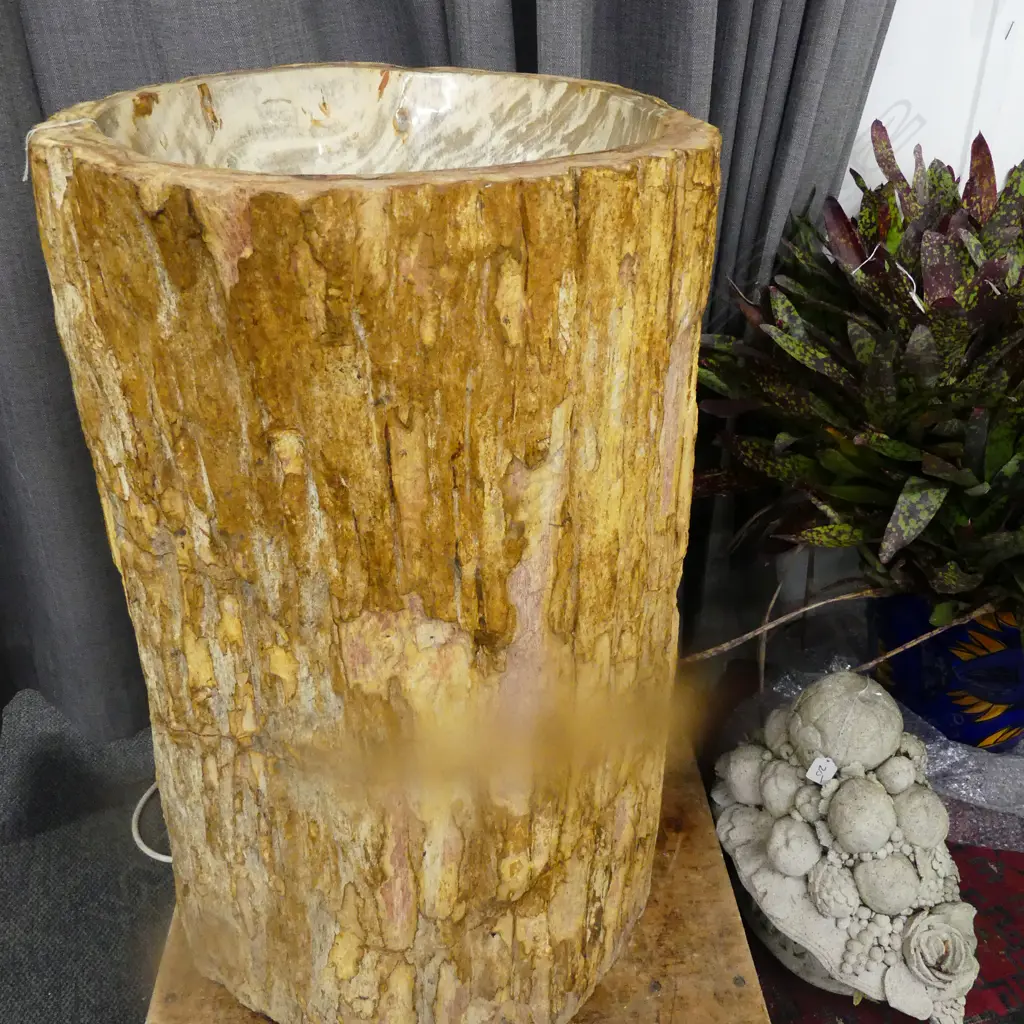 PETRIFIED WOOD PEDESTAL SINK 250KGS Image 1++
