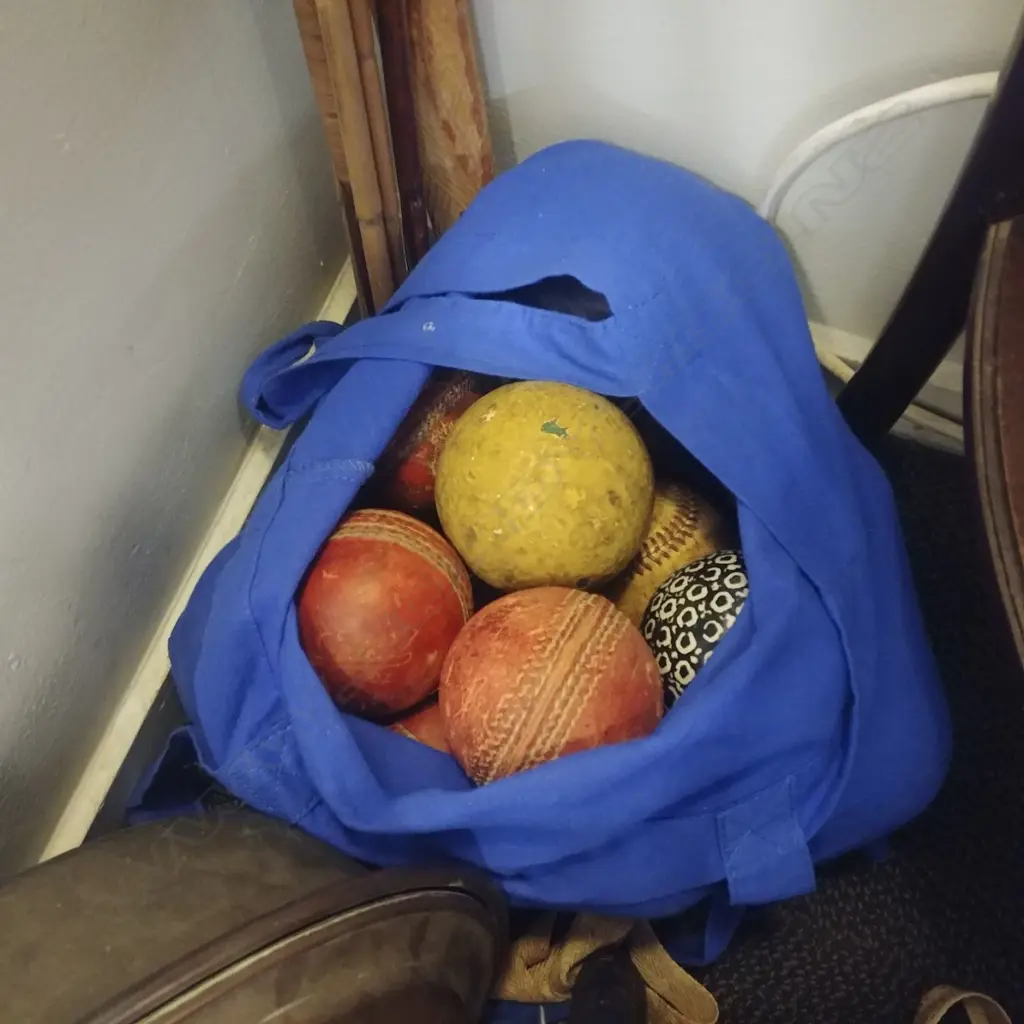 BAG OF SPORTS BALLS - CRICKET ETC Image 1++