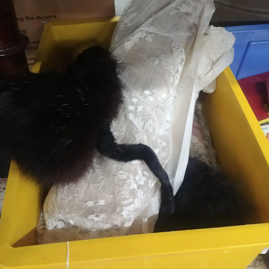 BOX VINTAGE STOLES, GLOVES ETC Image 1++