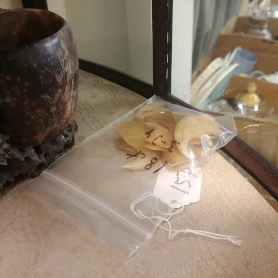 7 OLD TIGERS CLAWS UNMOUNTED