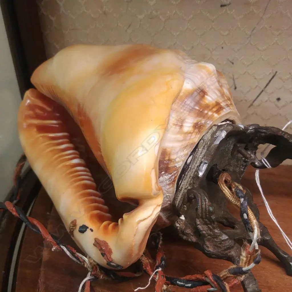 CAMEO LAMP Image 1++