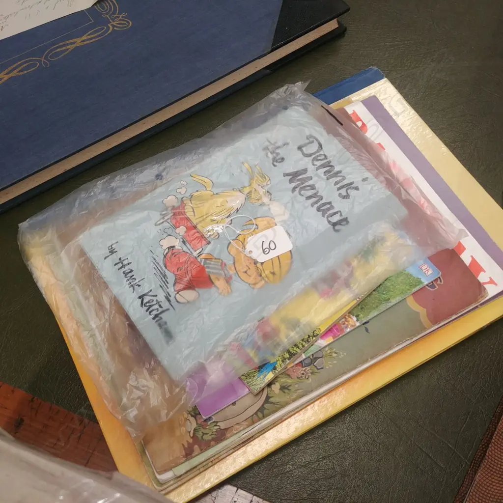 ASST CHILDRENS  BOOKS 1ST EDITION DENNIS THE MENACE ETC Image 1++