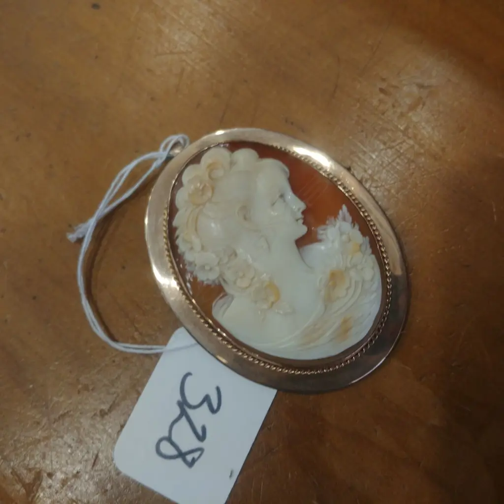9CT ROSE GOLD FRAMED CAMEO BROOCH Image 1++