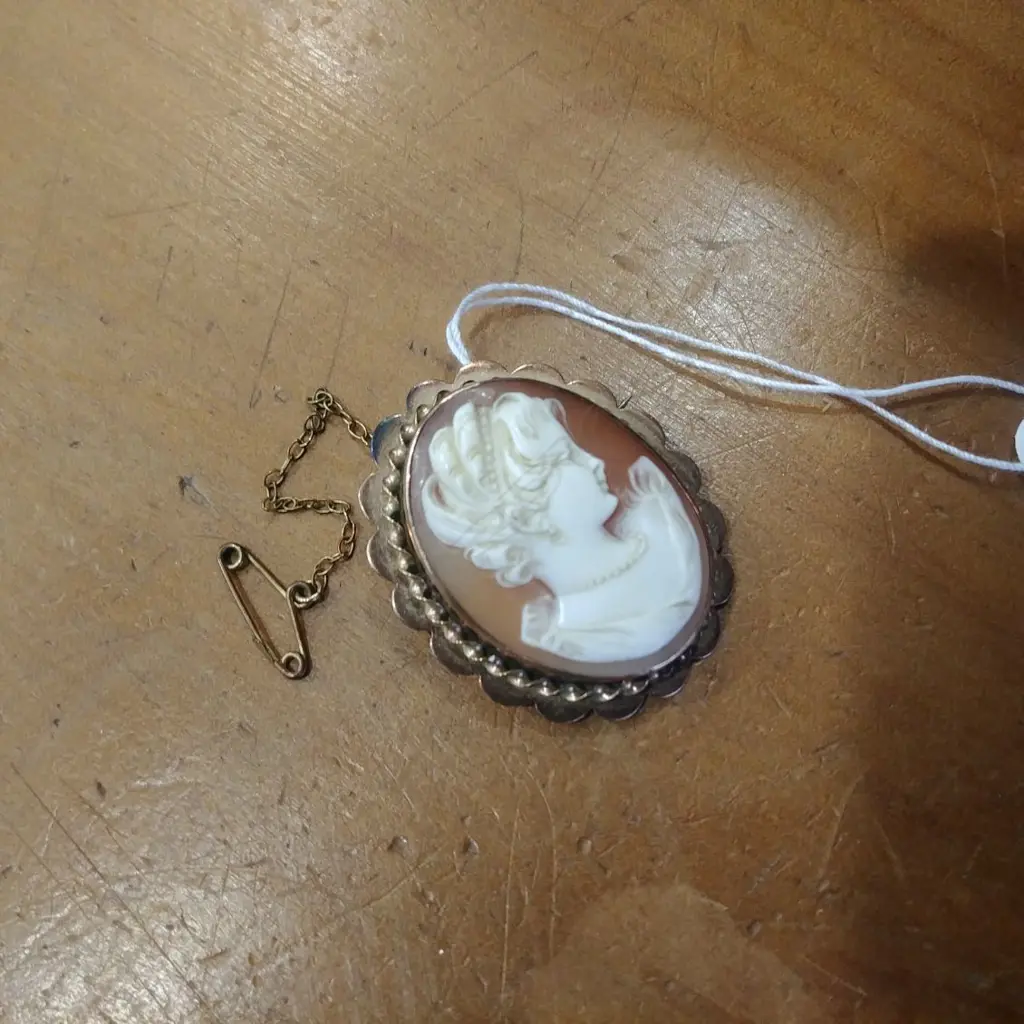 9CT ROSE GOLD FRAMED CAMEO BROOCH Image 1++