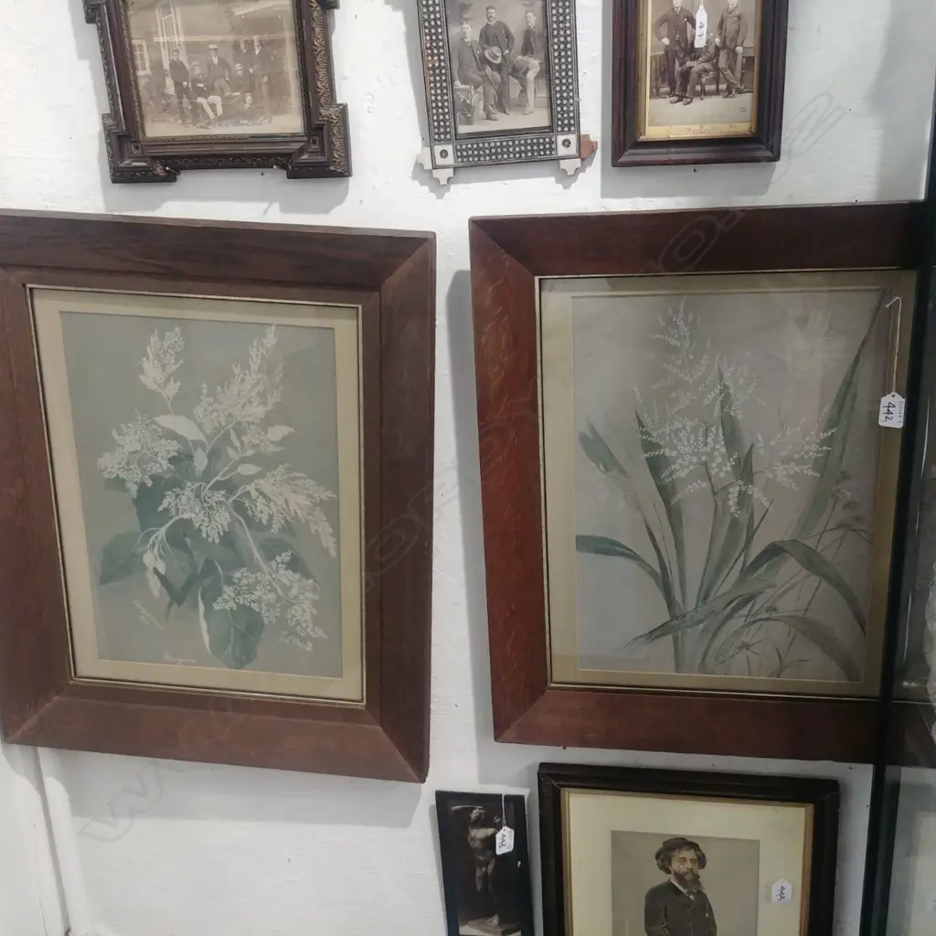 TWO NATIVE PLANT LITHOGRAPHS IN OAK FRAMES Image 1++