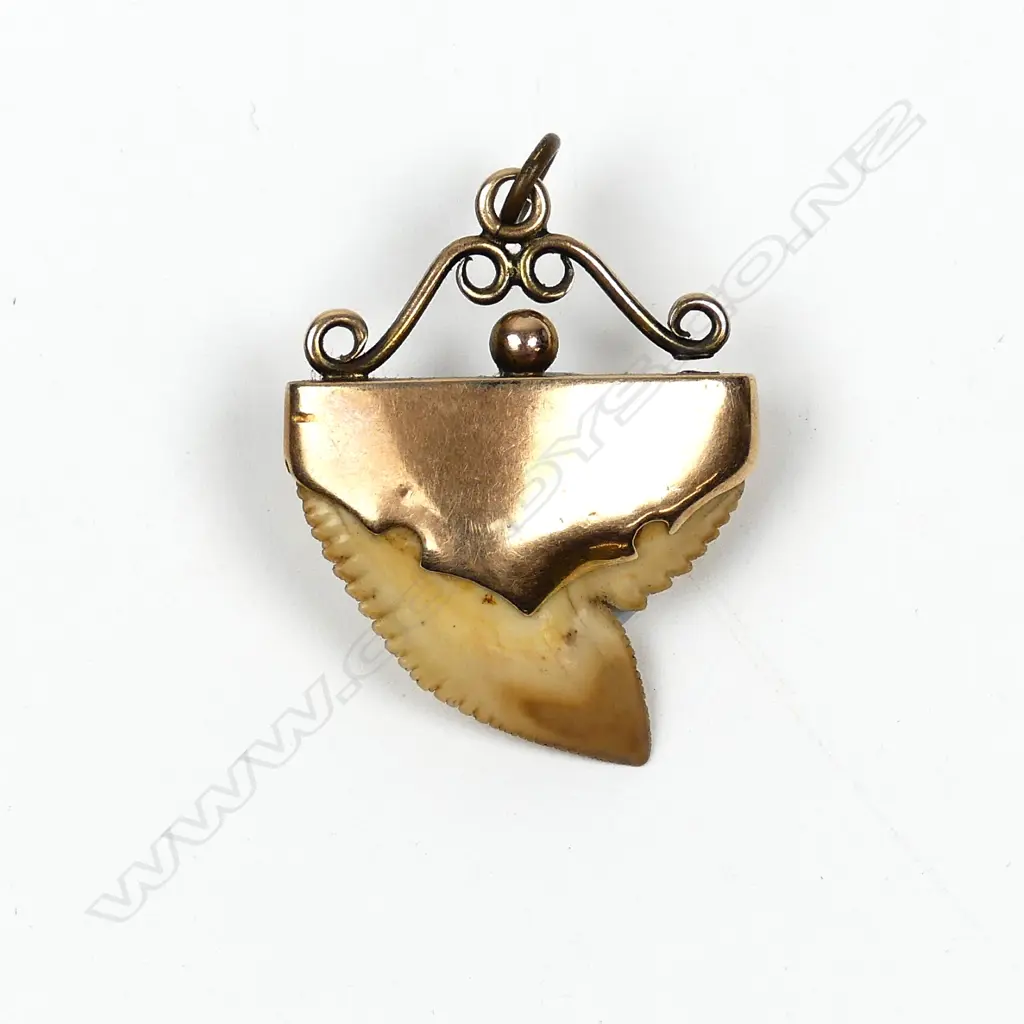 A 9ct rose gold and shark tooth pendant Image 1++