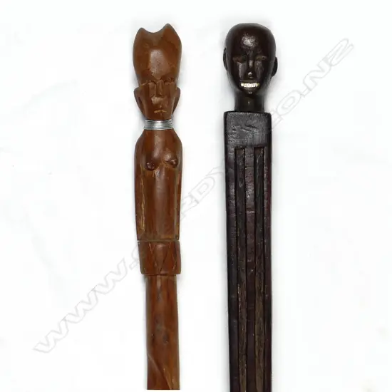 Two walking sticks