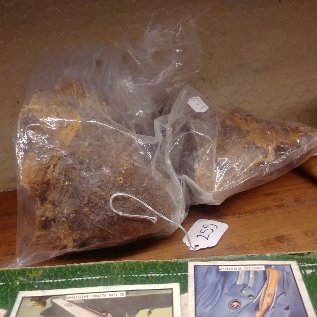 THREE KAURI GUM NUGGETS - 728g Image 1++