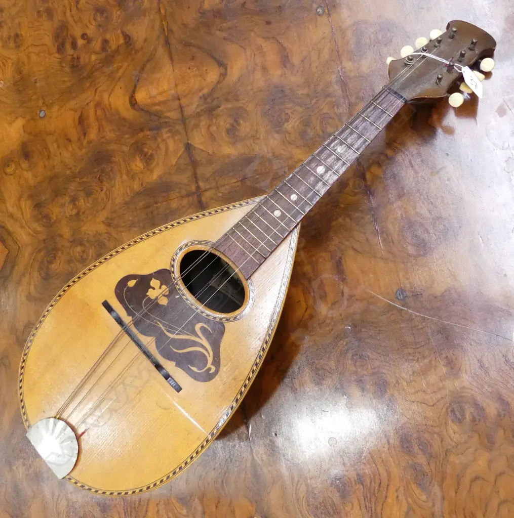 SUZUKI MANDOLIN WITH CASE Image 1++