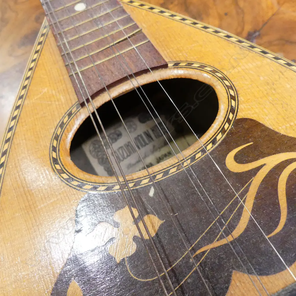 SUZUKI MANDOLIN WITH CASE Image 1++