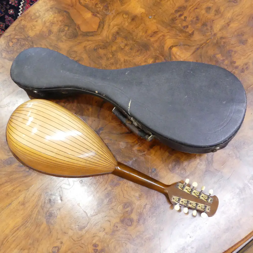 SUZUKI MANDOLIN WITH CASE Image 1++
