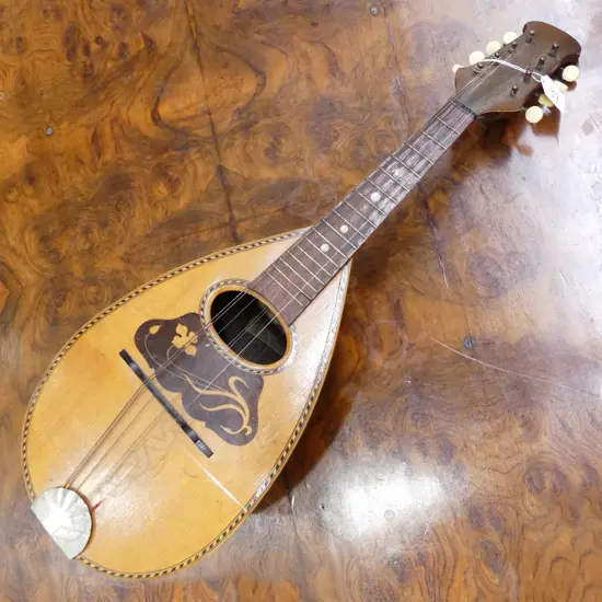 SUZUKI MANDOLIN WITH CASE