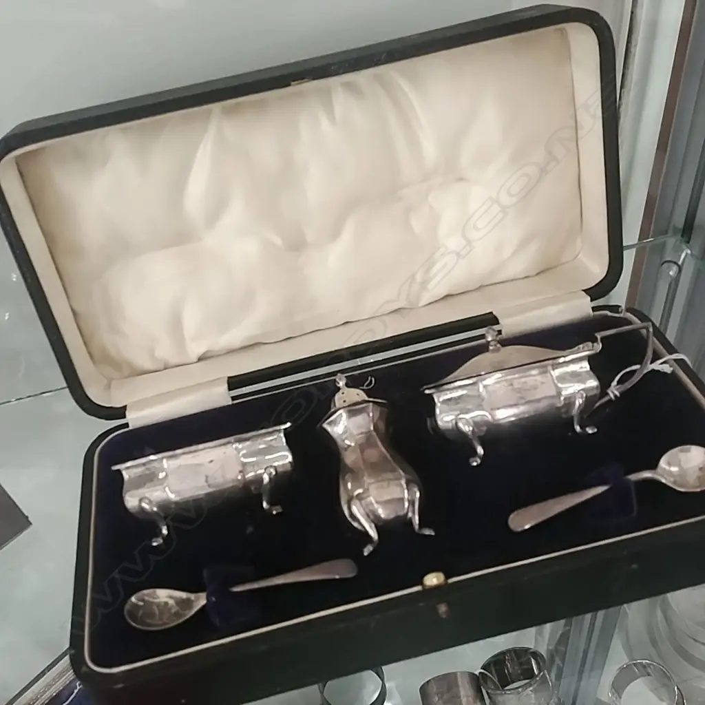 BOXED S/S CONDIMENT SET 106g Image 1++