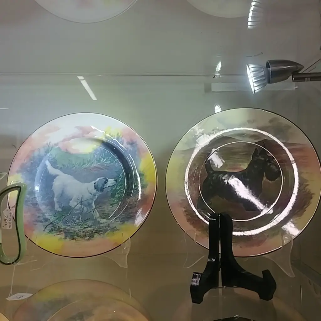 2 ROYAL DOULTON DOG PLATES Image 1++