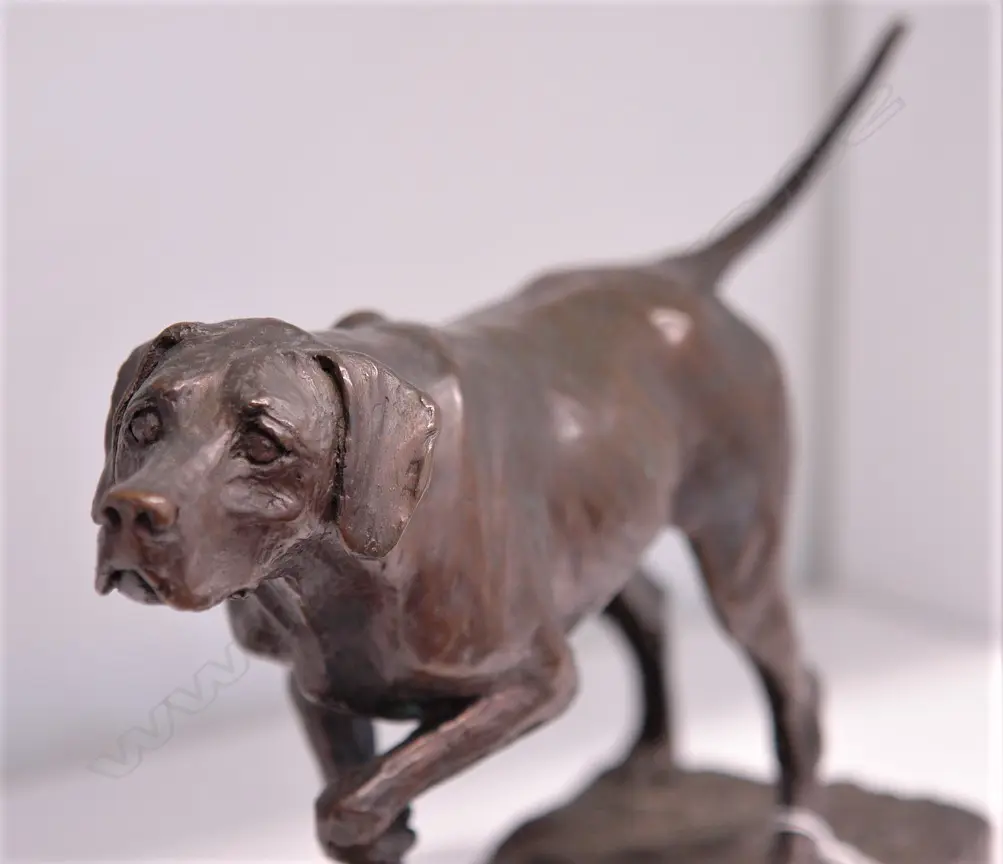 QUALITY BRONZE FIGURE OF A HUNTING DOG Image 1++