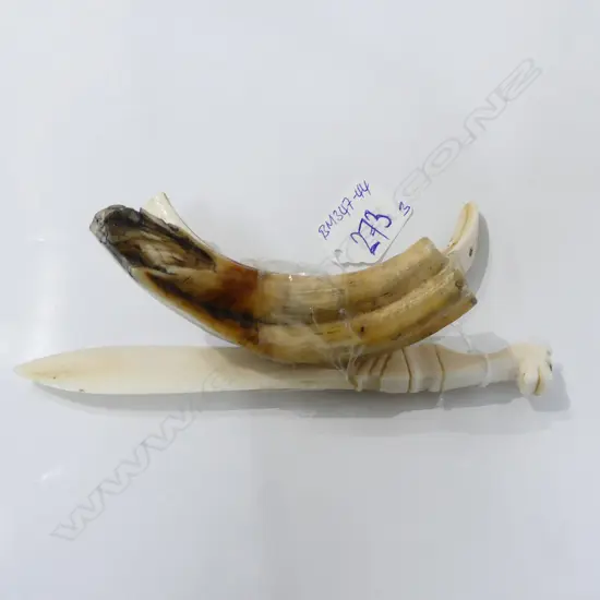 OLD LIONS TOOTH ? + TUSK +IVORY KNIFE