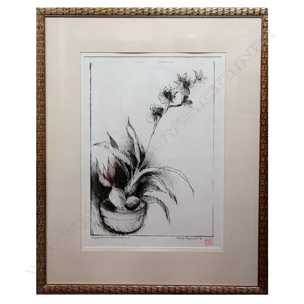 HENRY SYMONDS PAINTING ORCHID 'ZYGOPETALUM' Image 1++