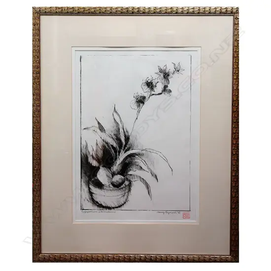 HENRY SYMONDS PAINTING ORCHID 'ZYGOPETALUM'