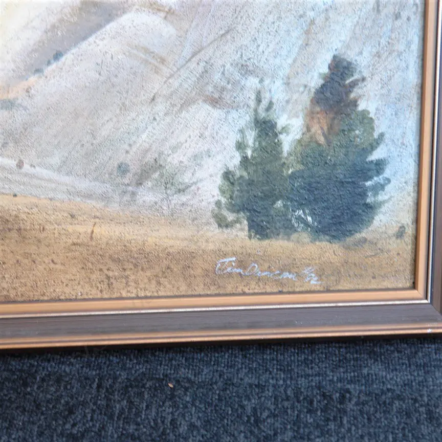 JAMES DUNCAN ACRYLIC CENTRAL OTAGO LANDSCAPE Image 1++