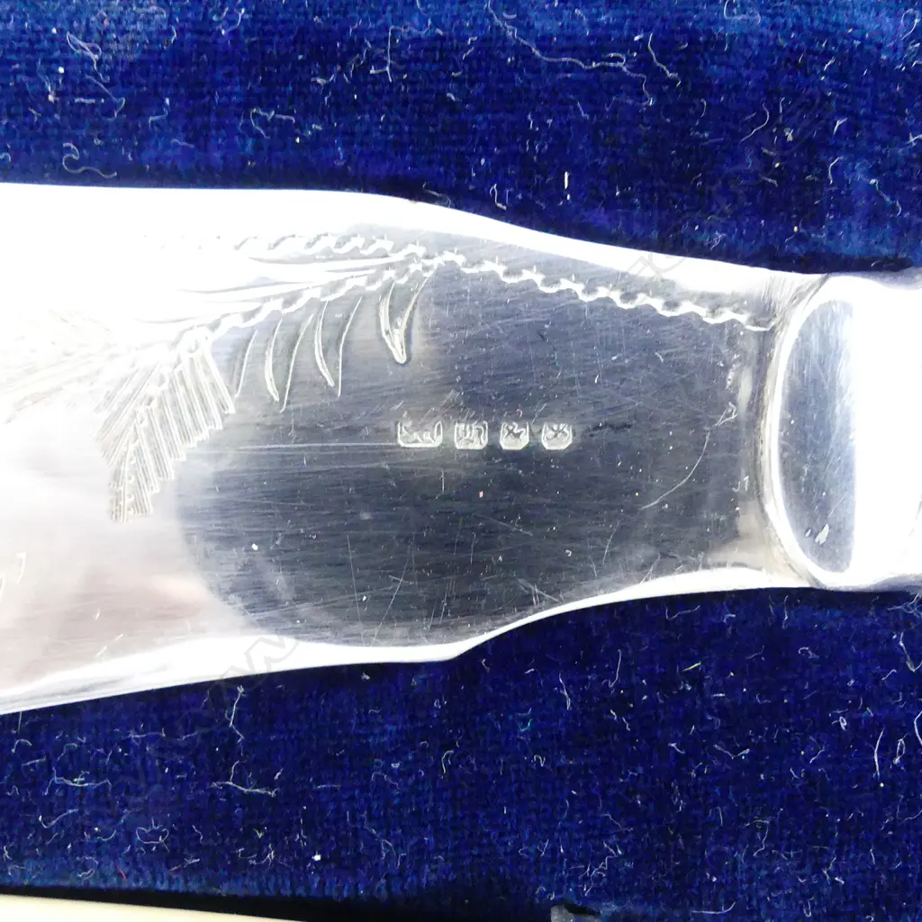 A CASED SET OF FISH SERVERS Image 1++