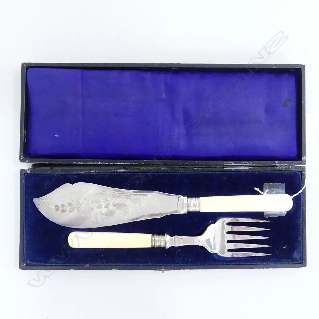 A CASED SET OF FISH SERVERS Image 1++