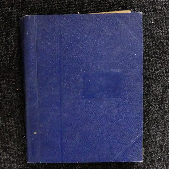 VINTAGE STAMP ALBUM LOOSE STAMPS