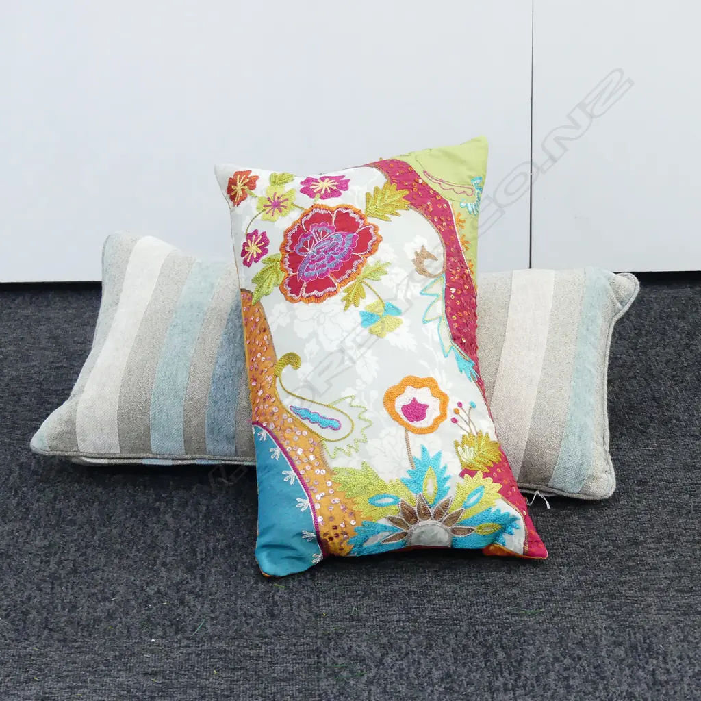 2X CUSHIONS; 1X AQUA; 1X MULTI COLOUR Image 1++