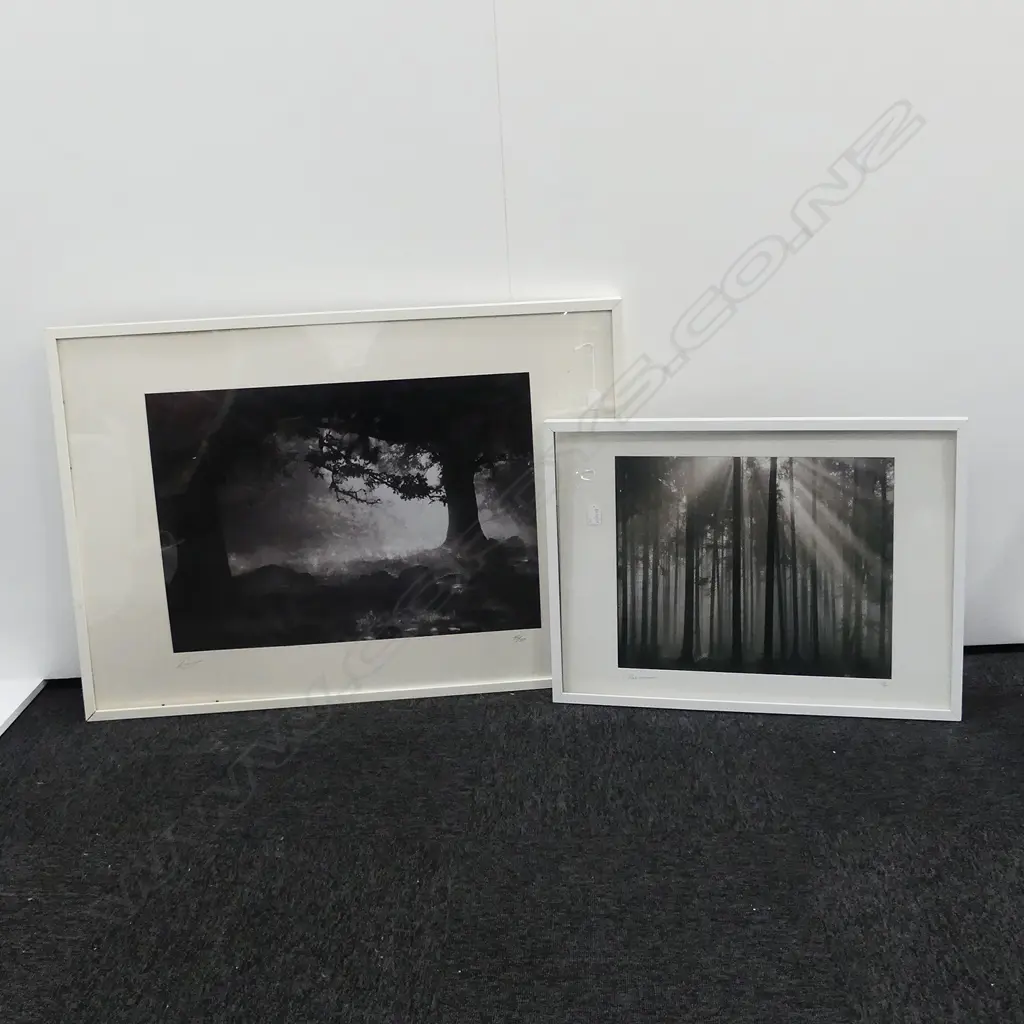 2 LTD EDITION LANDSCAPE PRINTS LARGEST 730X1020MM Image 1++